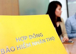 Doanh thu phí bảo hiểm nhân thọ đạt 66.500 tỷ đồng sau 7 tháng, tăng 20%