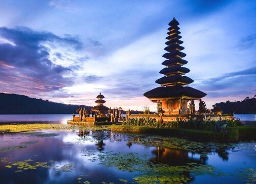 Indonesia thất thu vì du lịch, người Bali tìm kế sinh nhai bền vững hơn