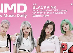 Knet tranh cãi vì BLACKPINK tung full album nhưng có quá ít bài, giá bán lại "đắt cắt cổ" so với BTS và các nhóm khác?