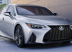 Lexus IS 2021 có giá từ 904 triệu đồng