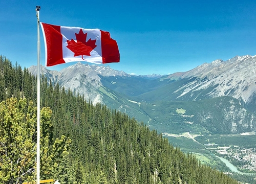 Người Mỹ tìm kiếm nội dung 'chuyển đến Canada' tăng vọt