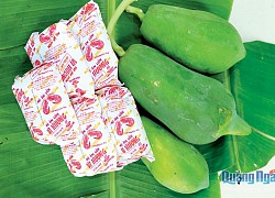 Bồi hồi đu đủ nấu canh mì tôm