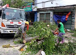 Bão số 9: Hơn 53.300 nhà tại Quảng Ngãi bị tốc mái, hư hỏng