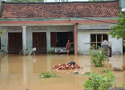 Bộ Y tế hỗ trợ các tỉnh miền Trung xử lý vệ sinh môi trường sau mưa lũ