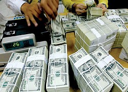 Đầu tư nước ngoài giảm gần 20%