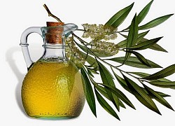 Dùng tinh dầu khuynh diệp cho trẻ nhỏ nguy hiểm khó lường