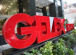 GELEX (GEX) trình Đại hội đồng cổ đông phương án phát hành cổ phiếu ESOP cho người lao động