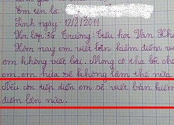 Học trò hứa 'viết bản kiểm điểm lần nữa' nếu tái phạm