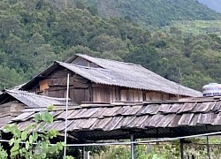 Nghịch tử sát hại bố đẻ rồi ăn lá ngón tự sát trong rừng