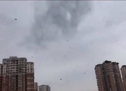 Người đàn ông ném mưa tiền xuống phố lúc 'phê' ma túy