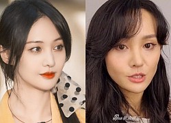 Nhan sắc Trịnh Sảng xuống dốc không phanh: Gầy rộc, tiều tụy đến đáng lo ngại, visual công chúa đâu mất rồi?