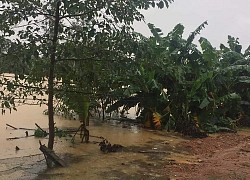 Những người con xa quê nóng lòng khi không gọi được cho người thân vùng lũ Nghệ An