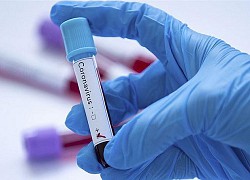 Phát hiện phân tử có thể ức chế virus SARS-CoV-2