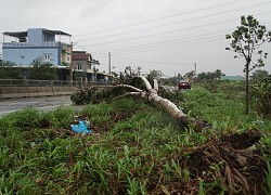 Quảng Ngãi "nín thở" đón bão số 9 Molave