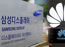 Samsung cung cấp màn hình OLED cho Huawei