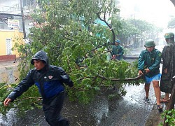 Sau bão, người dân trở về trong tan hoang
