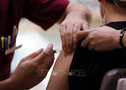 Hàn Quốc tái khẳng định không có mối liên hệ trực tiếp giữa vaccine phòng cúm với các ca tử vong