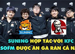 Suning trở thành đối tác với KFC, SofM đứng trước viễn cảnh 'ăn gà rán, uống trà sữa miễn phí cả năm'