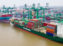 Tập đoàn Container Việt Nam (VSC): 9 tháng lợi nhuận đạt 219 tỷ đồng, tăng 19%