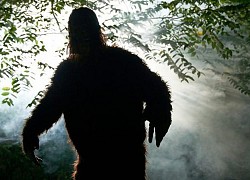 Vì sao con người khó bắt được quái vật Bigfoot?
