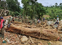 Sau vụ sạt lở ở Trà Leng, huyện Nam Trà My tạm dừng phiên chợ sâm