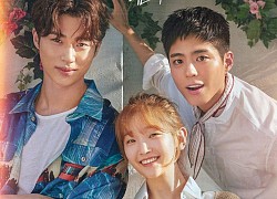 Theo vết xe đổ của Encounter, Record Of Youth tiếp tục là một cú ngã ngựa "để đời" của Park Bo Gum?