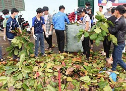 Xúc động hình ảnh cô trò vùng lũ hối hả dọn dẹp, sách vở lấm lem bùn đất sau bão lũ