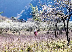 Bỏ túi những kinh nghiệm du lịch Tây Bắc an toàn, 'siêu' tiết kiệm