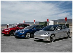 Bất chấp dịch bệnh, Tesla vẫn bán được lượng xe kỷ lục trong quý III/2020