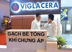 Cục diện thoái vốn mới tại Viglacera