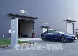 Hoạt động kinh doanh của Tesla khởi sắc nhờ nhu cầu ô tô điện tăng