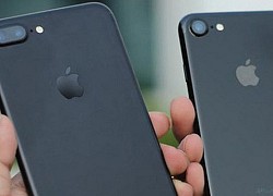 iPhone 7 giá từ 5,5 triệu, iPhone 8 rớt giá còn 7,5 triệu đồng