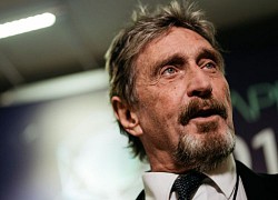 John McAfee bị bắt