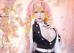 Lạc vào rừng mơ khi ngắm loạt ảnh cosplay mỹ nhân Kimetsu no Yaiba đẹp lụi tim