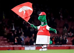 Mascot của Arsenal bị mất việc vì Covid-19