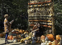 Mỹ: Độc đáo ngôi làng bí ngô cổ tích vào mùa Lễ hội Halloween