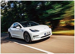 Tesla "áp đảo" danh sách xe đã qua sử dụng bán tốt nhất