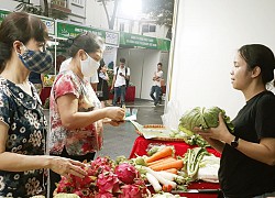 Mang trái cây, nông sản các tỉnh, thành đến với người tiêu dùng Thủ đô