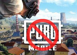 Tựa game bị người chơi Lửa Chùa cho là thiếu trí tuệ vừa đá bay luôn vị thế của Free Fire lẫn PUBG Mobile