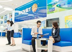 Bảo Việt chốt ngày chi 8% cổ tức bằng tiền