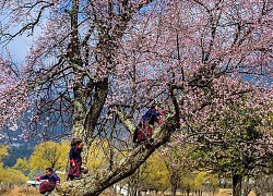 Bhutan giống như xứ sở thần tiên qua lời kể của du khách Việt