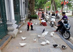 Hà Nội dịu dàng trong sớm se lạnh của mùa thu