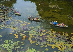 Hình ảnh khu du lịch Tam Cốc đẹp dịu dàng trong sắc Thu