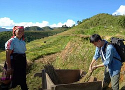 Huy Hay Đi lóng ngóng học đập lúa kiểu H'Mông trên Mù Cang Chải