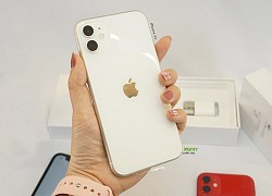 iPhone 12 mini sẽ rẻ hơn iPhone 11