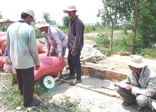 Long An: Doanh nghiệp thu mua lúa gạo hết "bẻ kèo" với nông dân