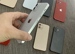 Phụ kiện iPhone 12 xuất hiện ở Việt Nam