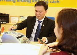 PVCB Capital: Lợi nhuận tuột dốc