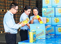 Sanest Khánh Hoà (SKH) dự kiến điều chỉnh giảm 14,4% kế hoạch doanh thu năm 2020