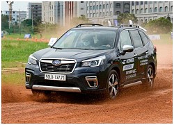 Subaru tung giá bán đặc biệt cho Forester tại Việt Nam